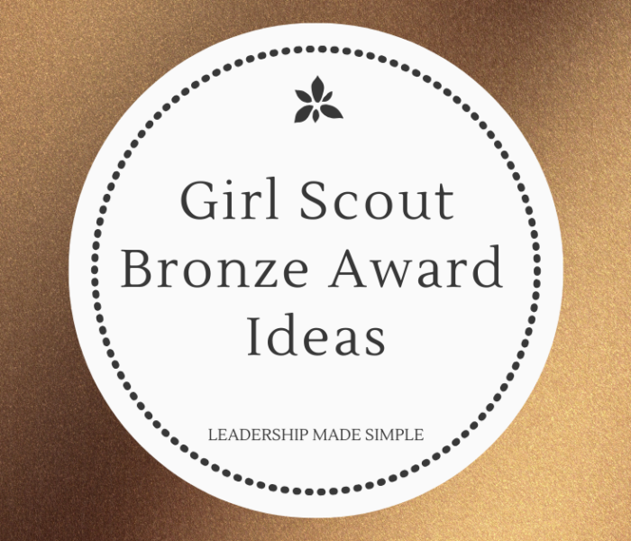 Girl Scout Bronze Award Ideas