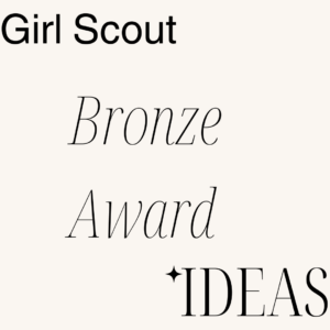 Girl Scout Bronze Award Ideas