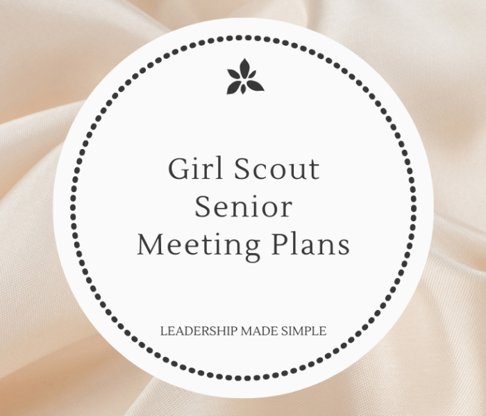 My 9th Grade Senior Girl Scout Troop Update and Plans for 2018