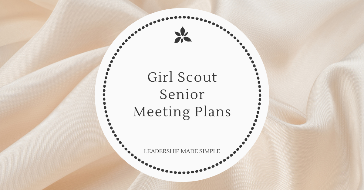 My 9th Grade Senior Girl Scout Troop Update and Plans for 2018