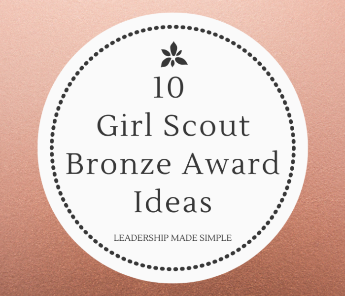 10 Girl Scout Bronze Award Ideas for Juniors