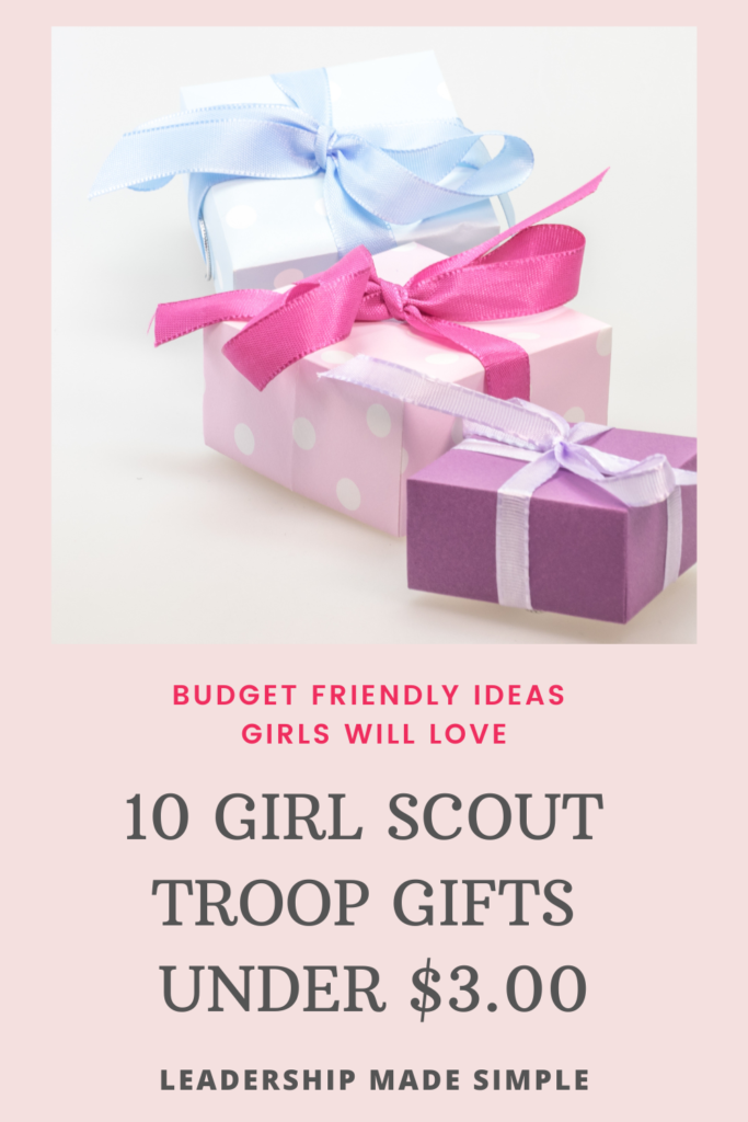 10 Girl Scout Troop Gifts Under $3.00