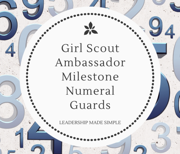 Girl Scout Ambassador Membership Numeral Guards