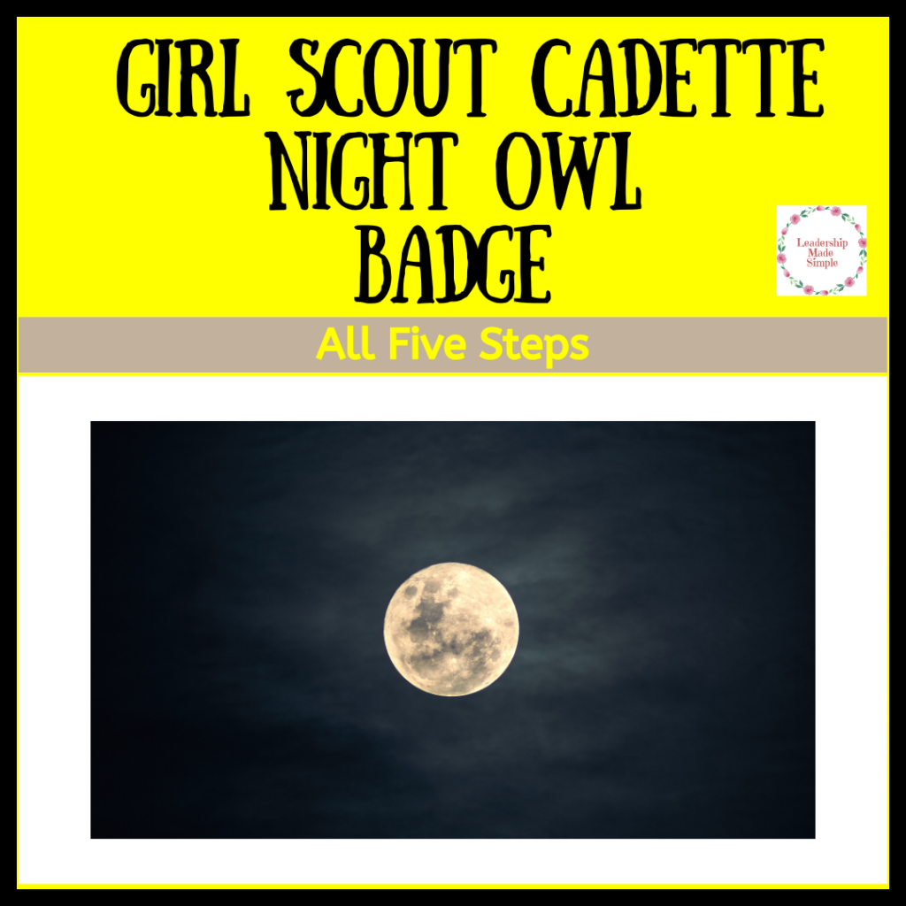 Girl Scout Cadette Night Owl Badge