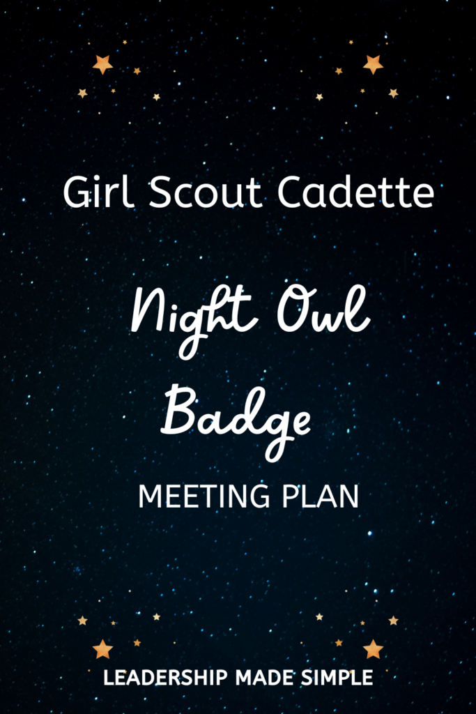 Girl Scout Cadette Night Owl Badge