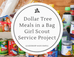 Dollar Tree Meals in a Bag Girl Scout Service Project