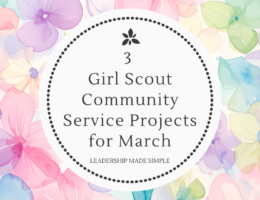3 Girl Scout Community Service Projects for March