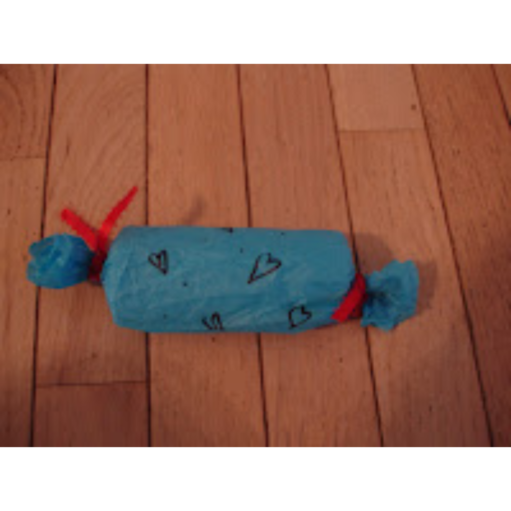 Girl Scout Use Resources Wisely craft project