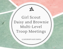 Girl Scout Daisy and Brownie Multi-Level Troop Meetings
